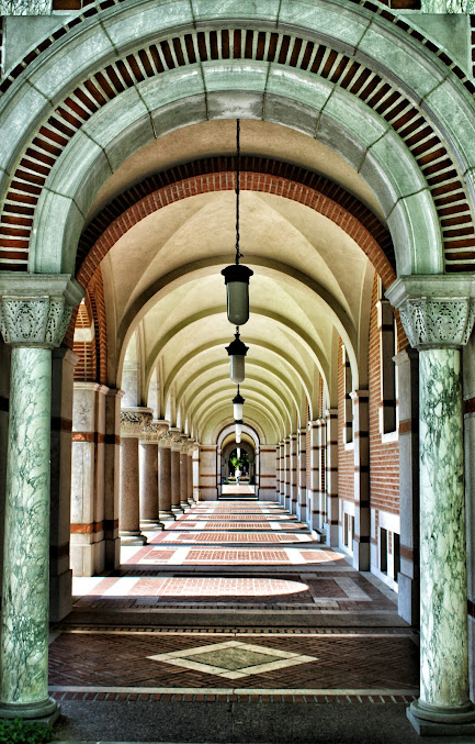 Rice University photo 9