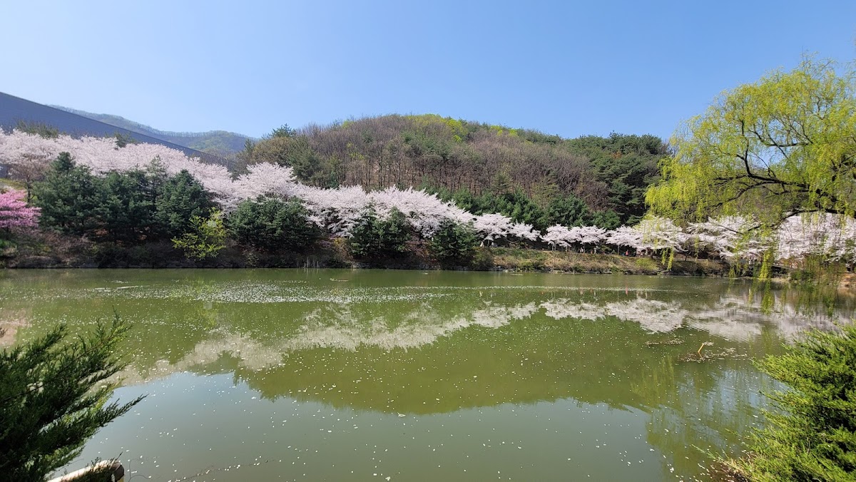 Hoseo University photo 5