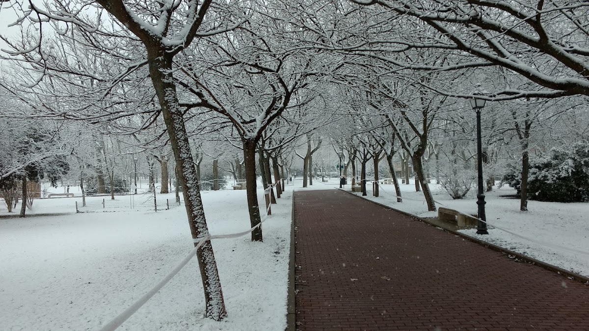 Autonomous University of Madrid photo 2