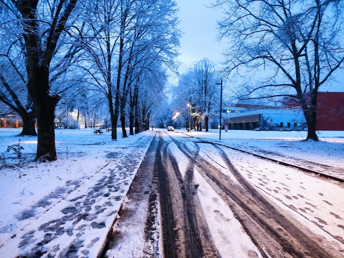 Université de Pau et des Pays de l'Adour photo 6