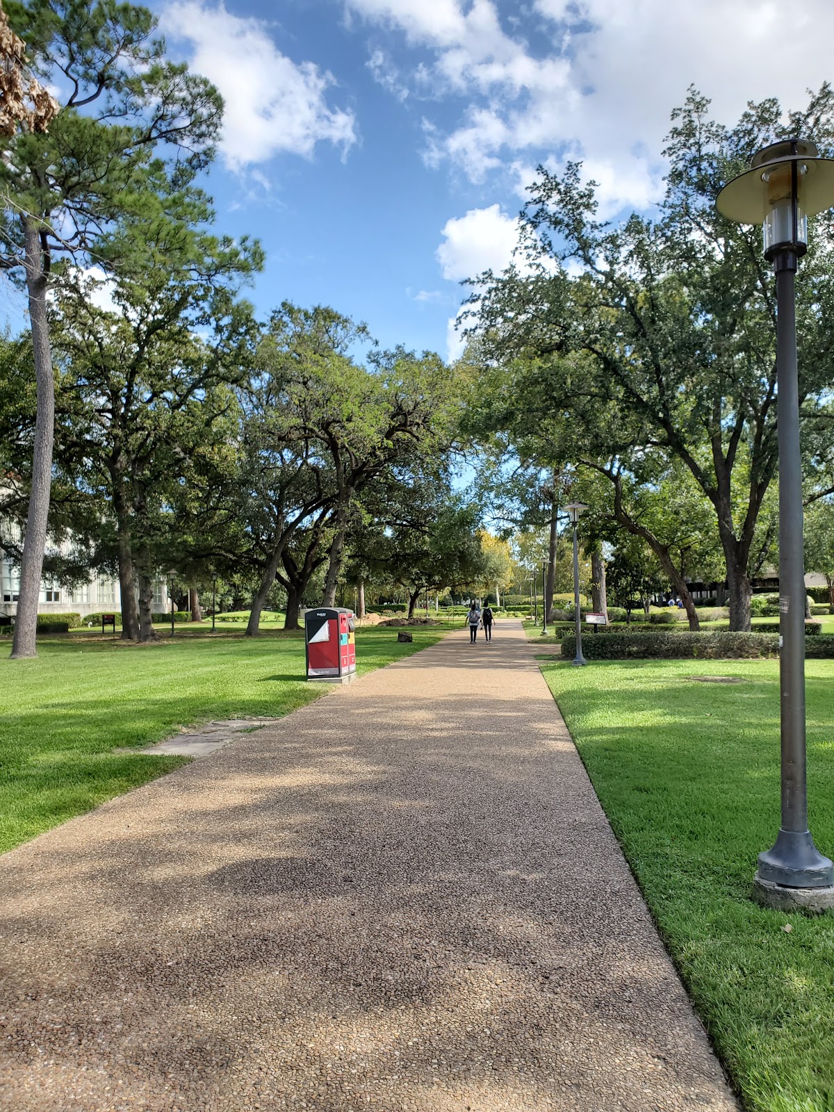 College of 2059 photo 9