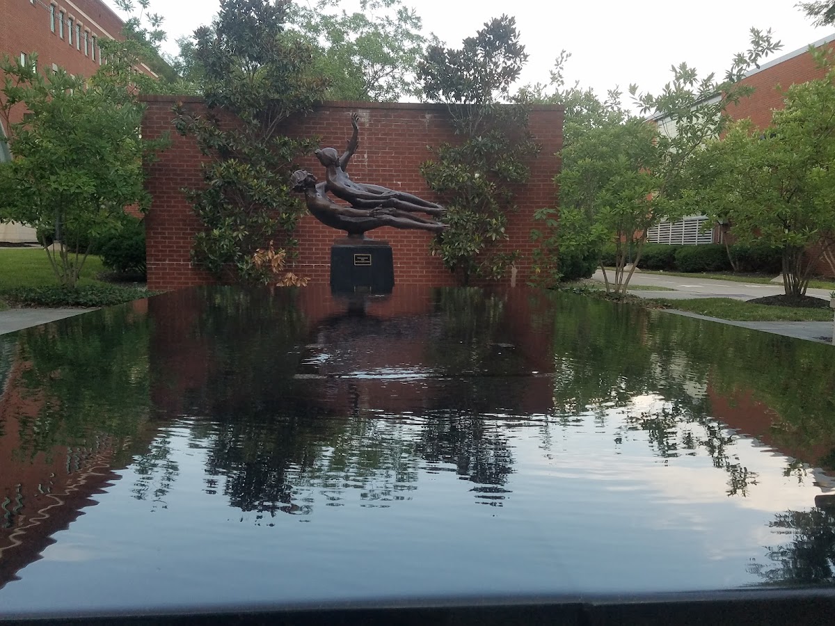 University of Louisville photo 6