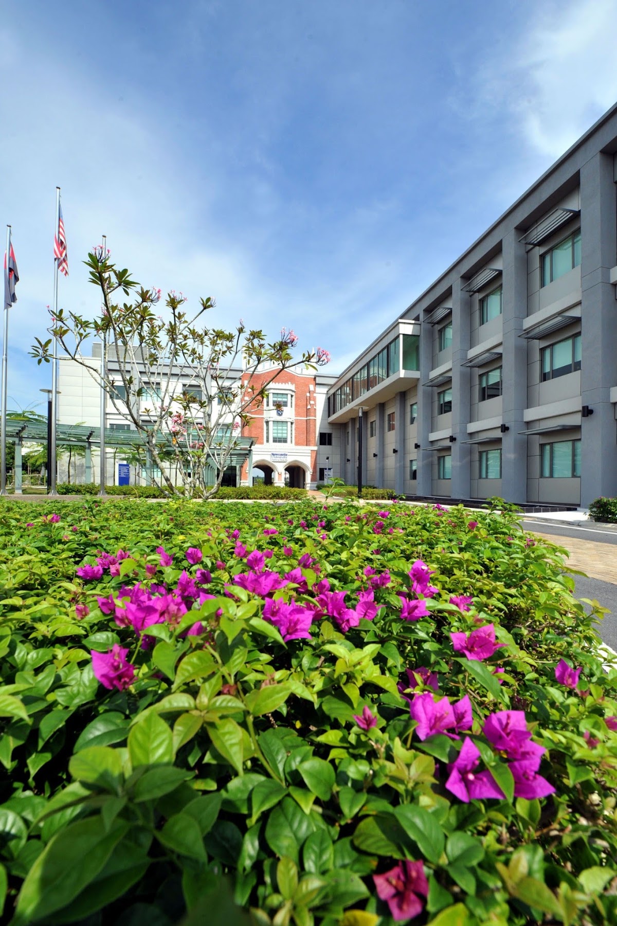 Newcastle University Medicine Malaysia photo 9