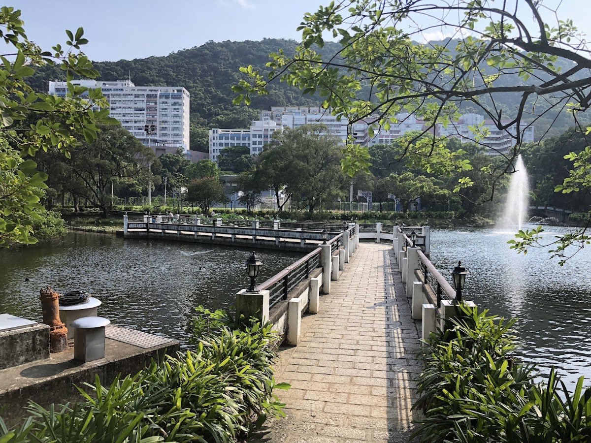 The Chinese University of Hong Kong photo 8