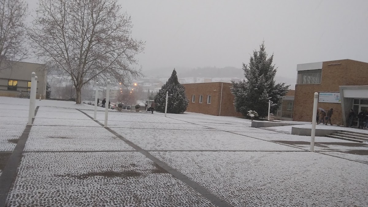 Polytechnic Institute of Bragança photo 1