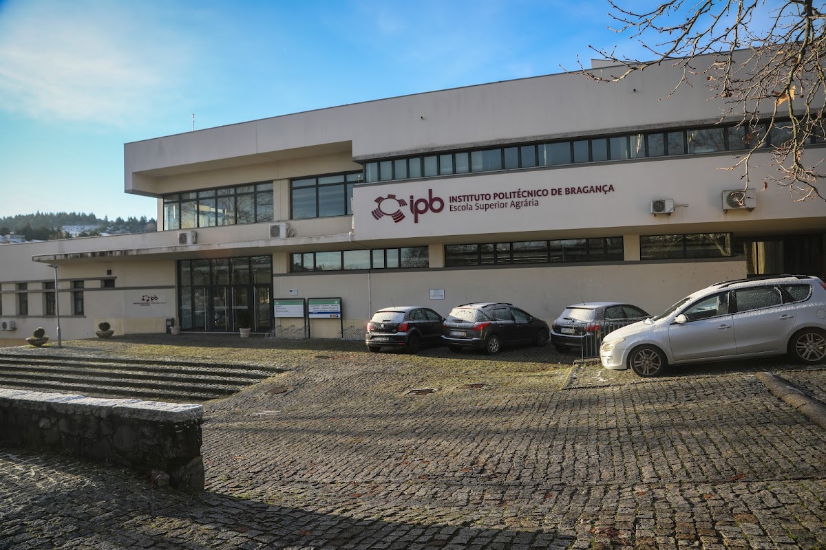 Polytechnic Institute of Bragança photo 4