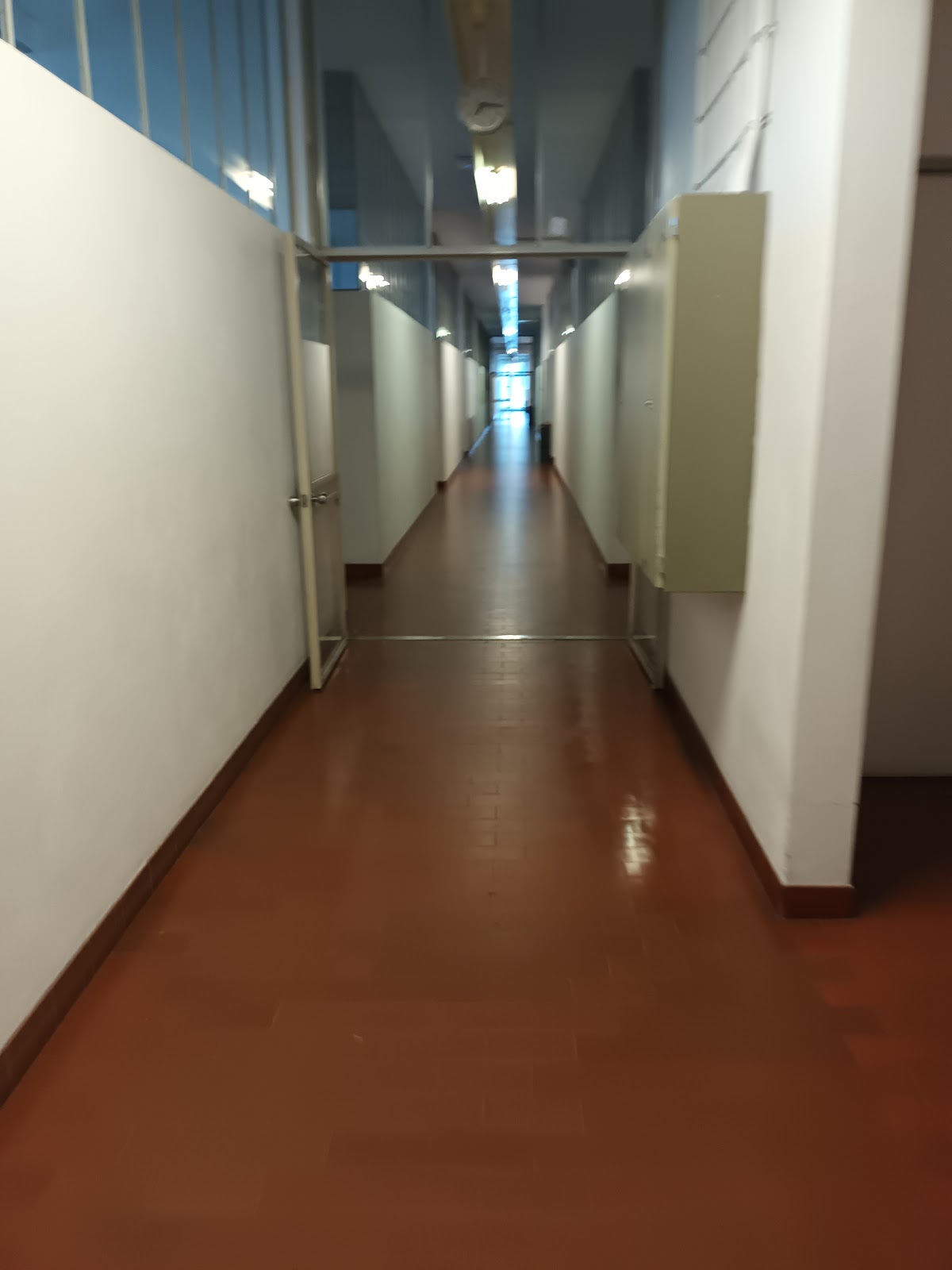 Polytechnic Institute of Bragança photo 7