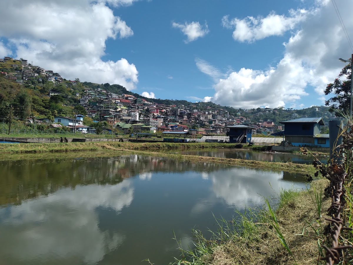 Benguet State University photo 4