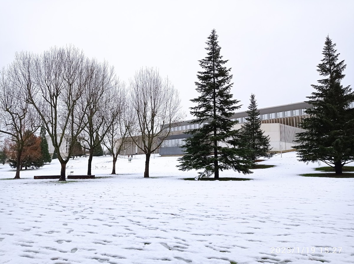 University of Navarra photo 3