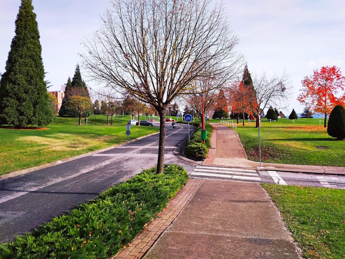 University of Navarra photo 5