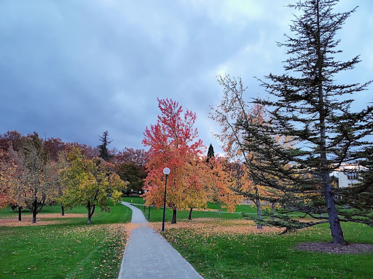 University of Navarra photo 6