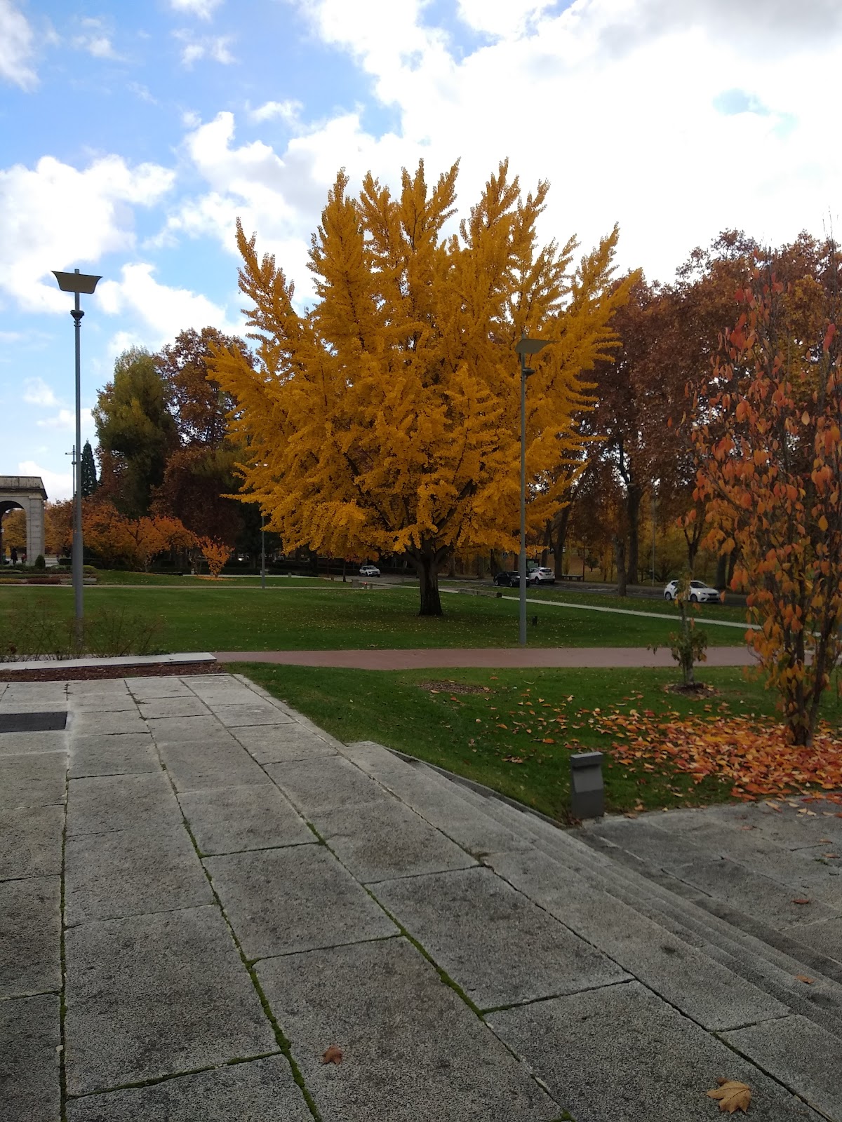 University of Navarra photo 9