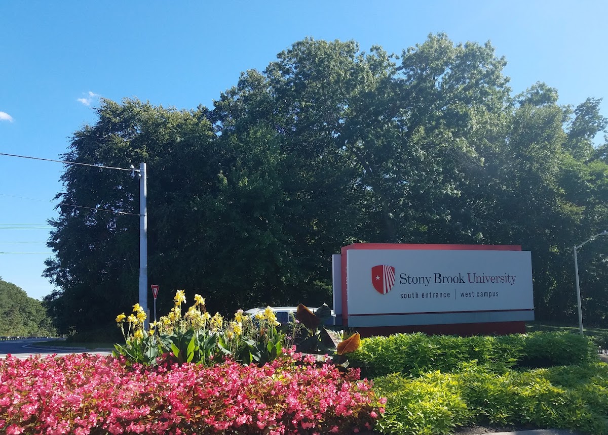 SUNY Stony Brook photo 3