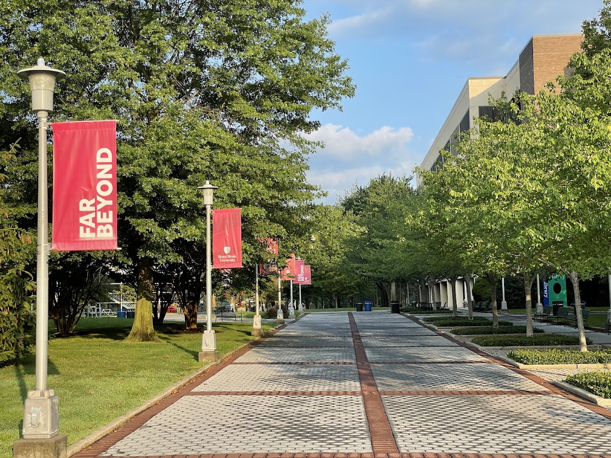 SUNY Stony Brook photo 8