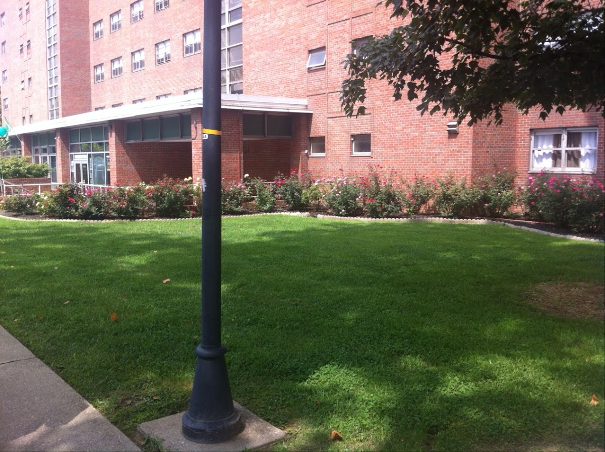Marshall University photo 7