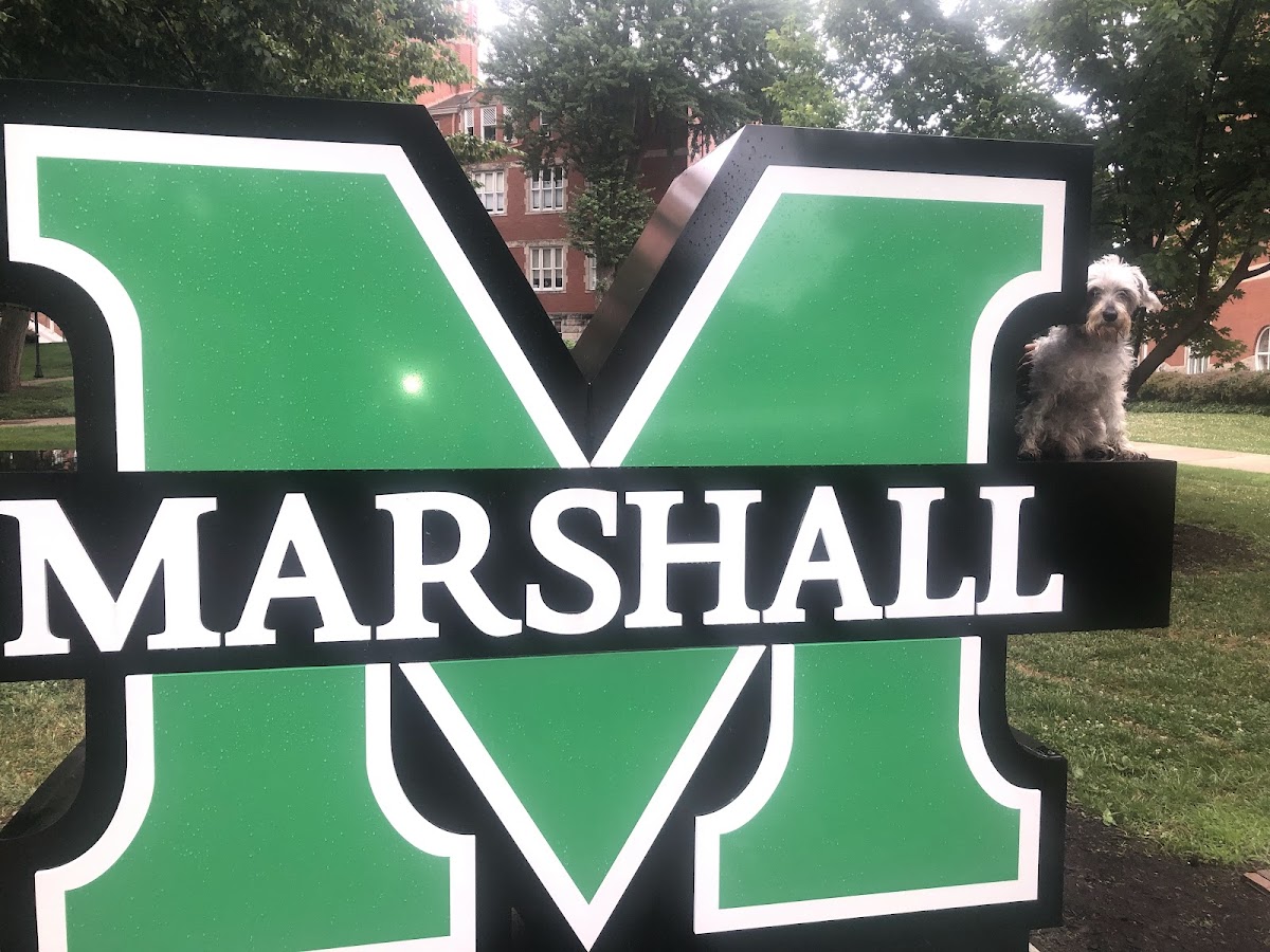Marshall University photo 8