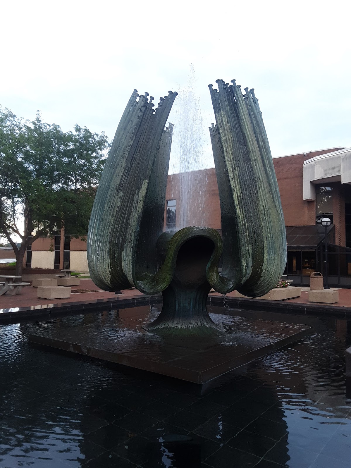 Marshall University photo 9