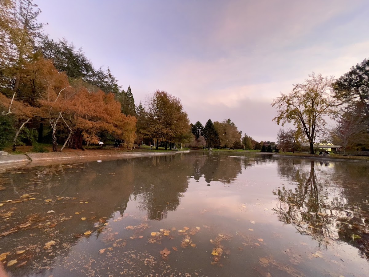Sonoma State University photo 3