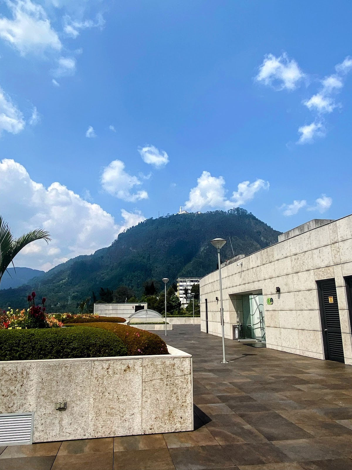 Universidad Externado de Colombia photo 8