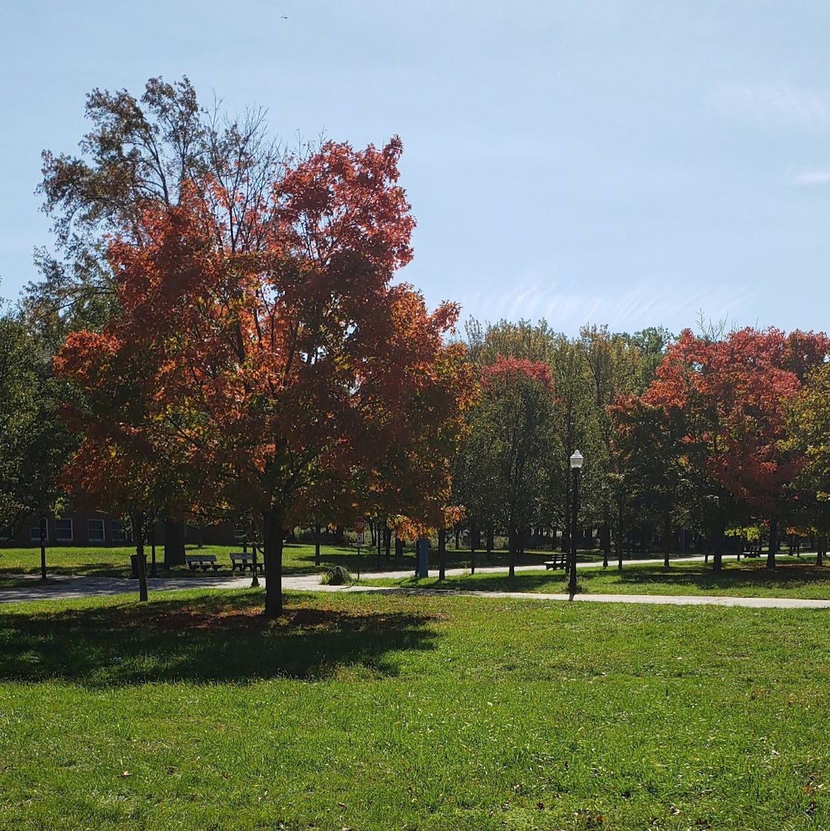 CUNY College of Staten Island photo 7