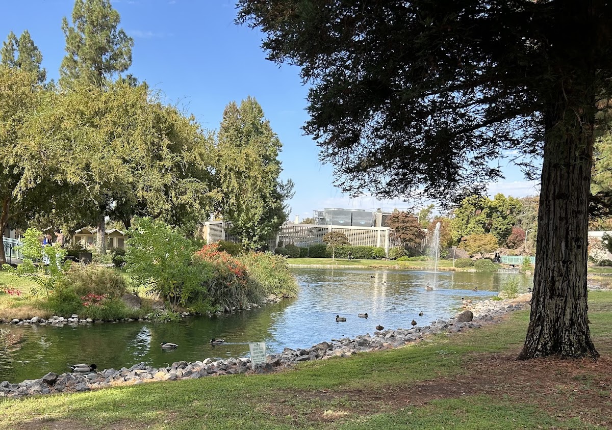 California State University Stanislaus photo 1