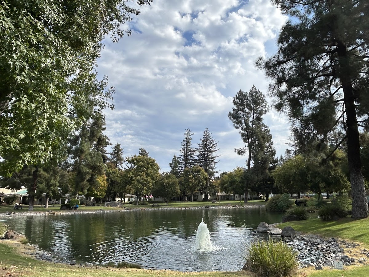 California State University Stanislaus photo 3