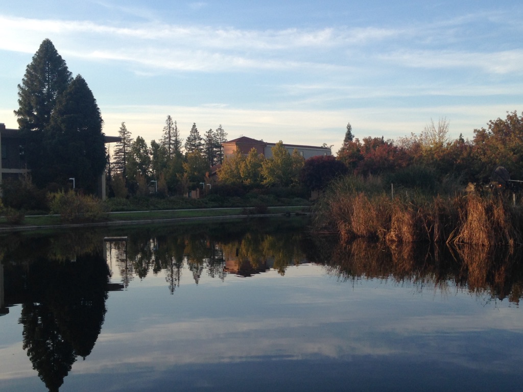 California State University Stanislaus photo 4