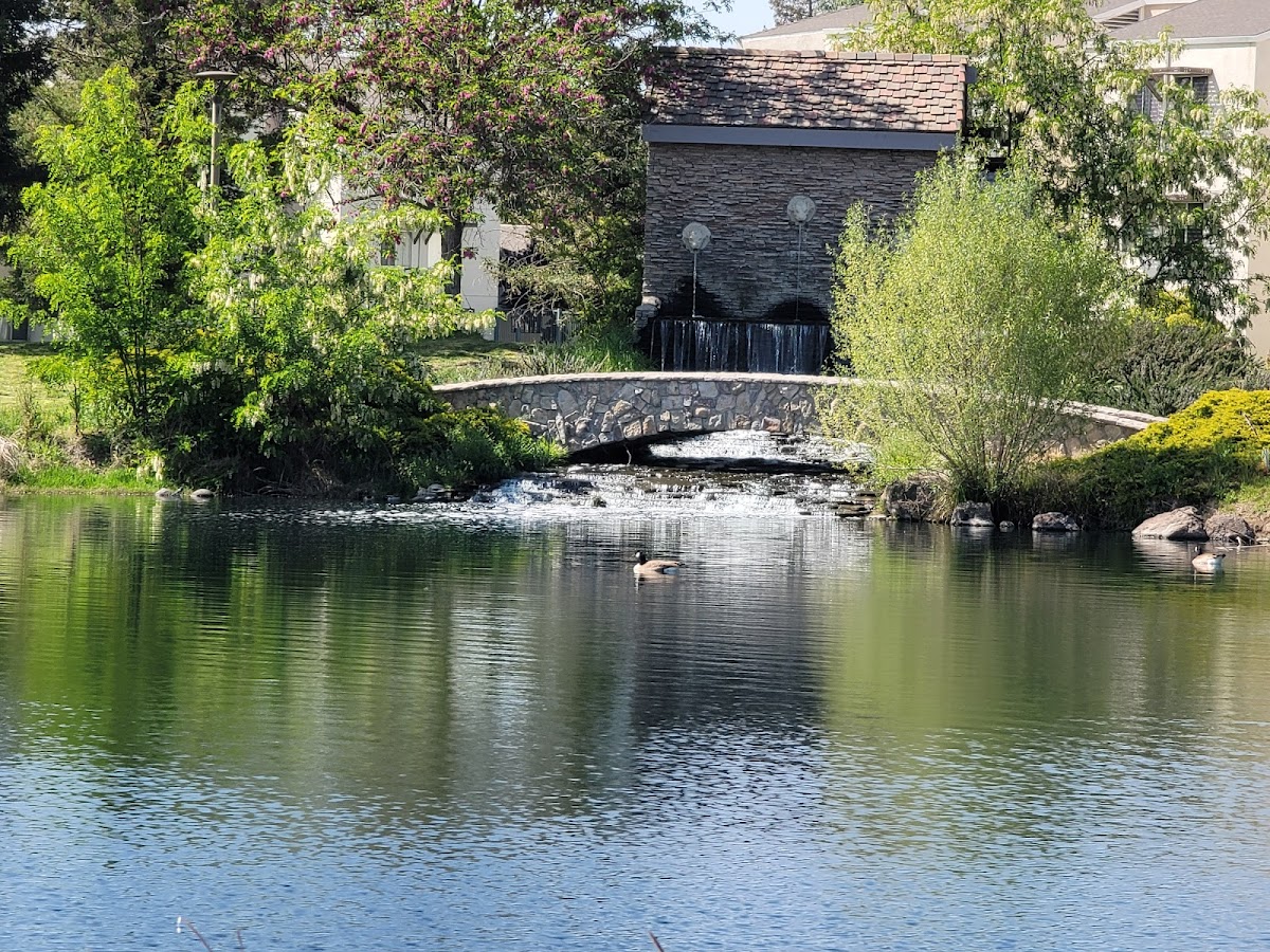California State University Stanislaus photo 6