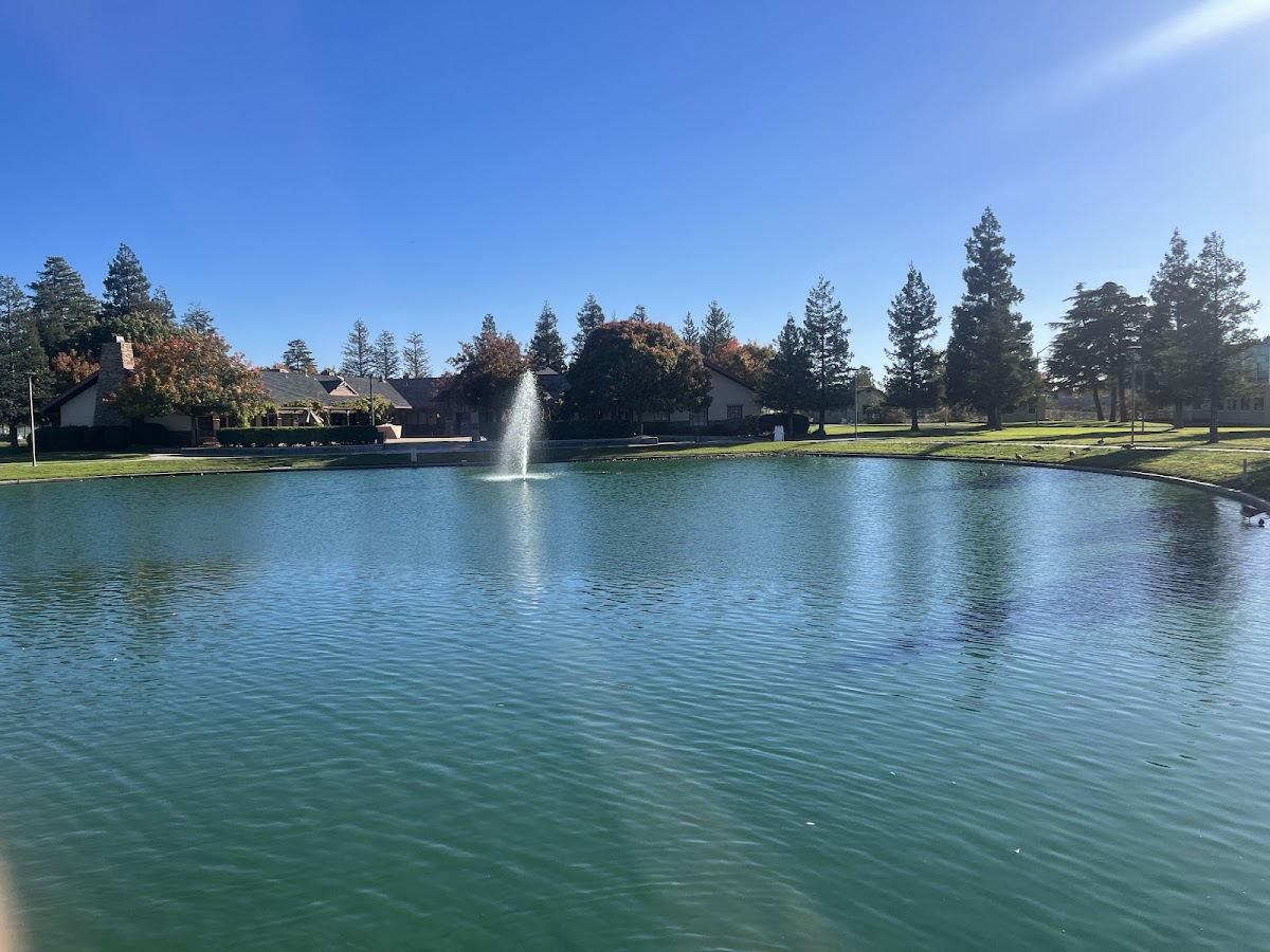 California State University Stanislaus photo 7