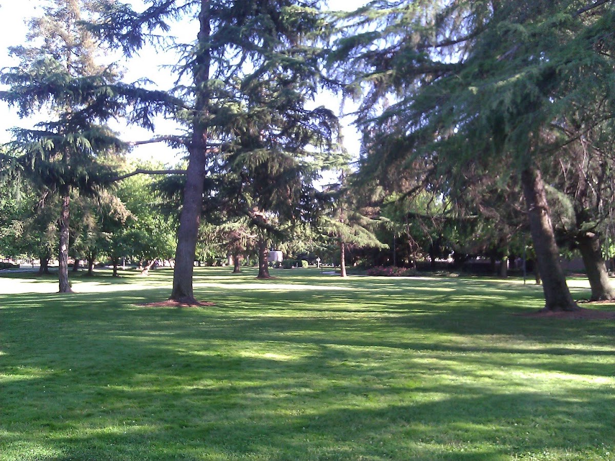 California State University Stanislaus photo 8
