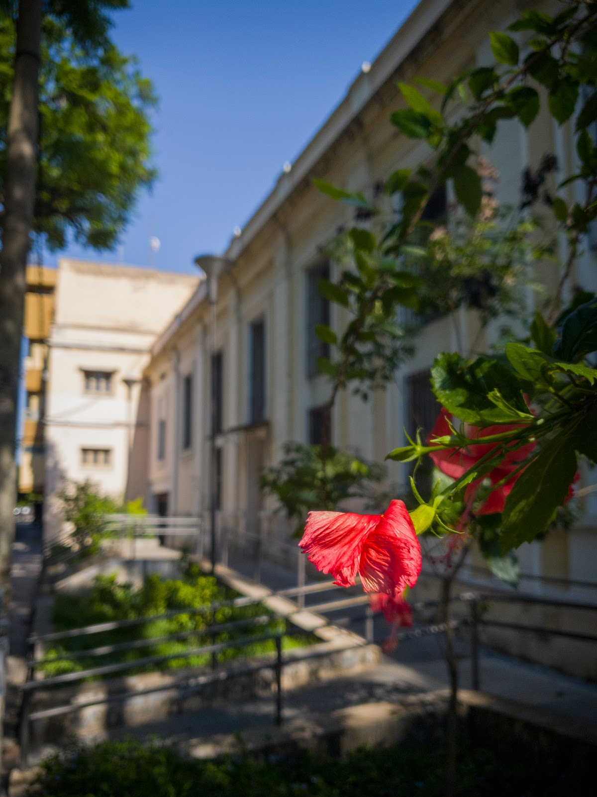 National University of Tucumán photo 8