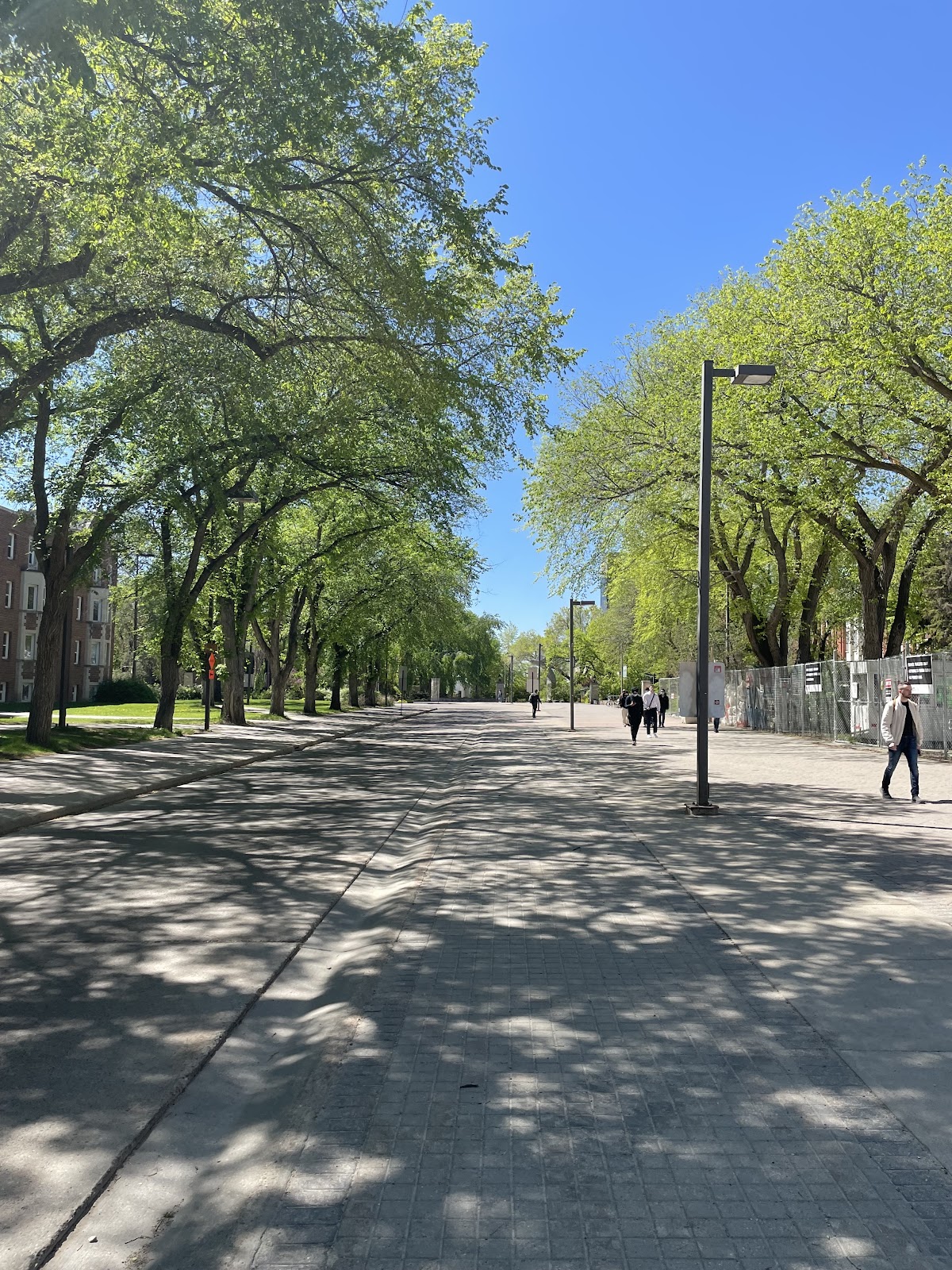 University of Alberta photo 8