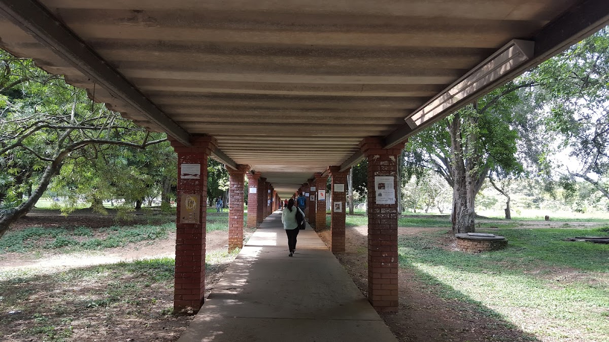 Universidad del Valle photo 2