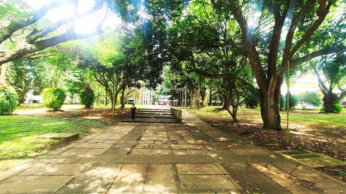 Universidad del Valle photo 4