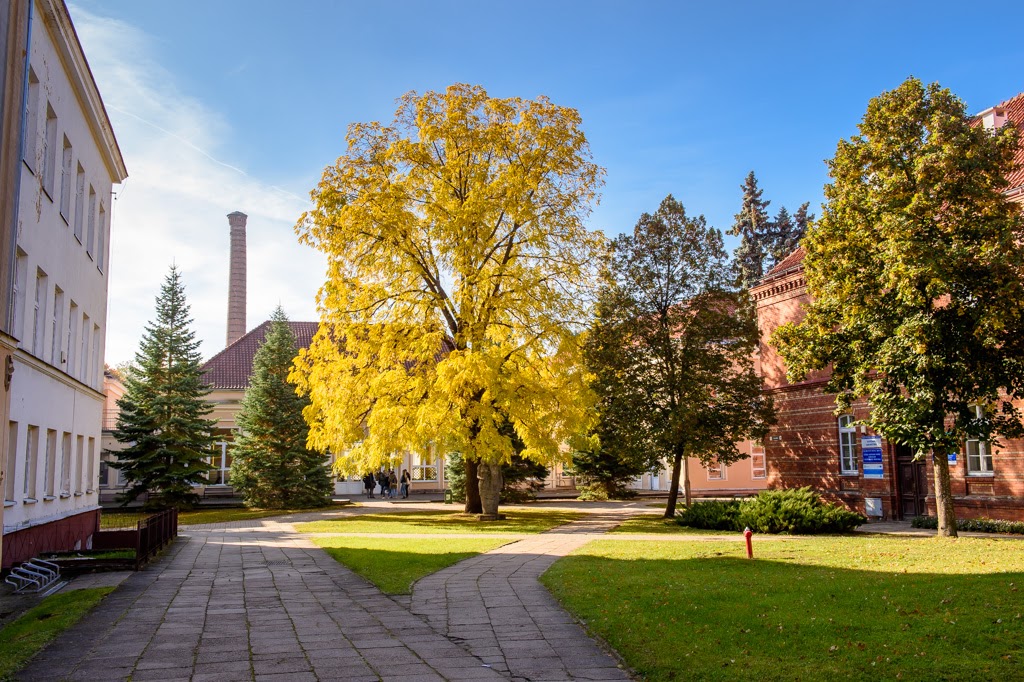 University of Warmia and Mazury in Olsztyn photo 3