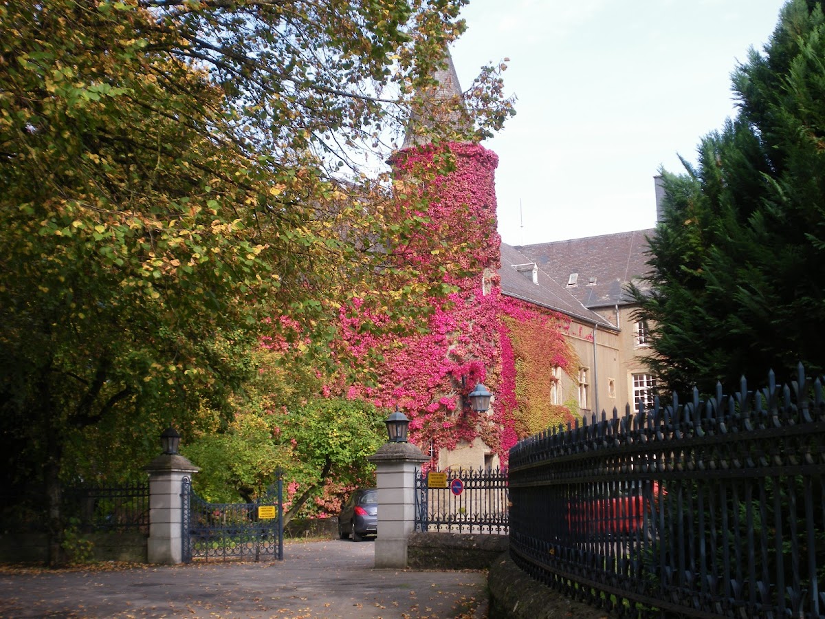 Miami University Dolibois European Center photo 5