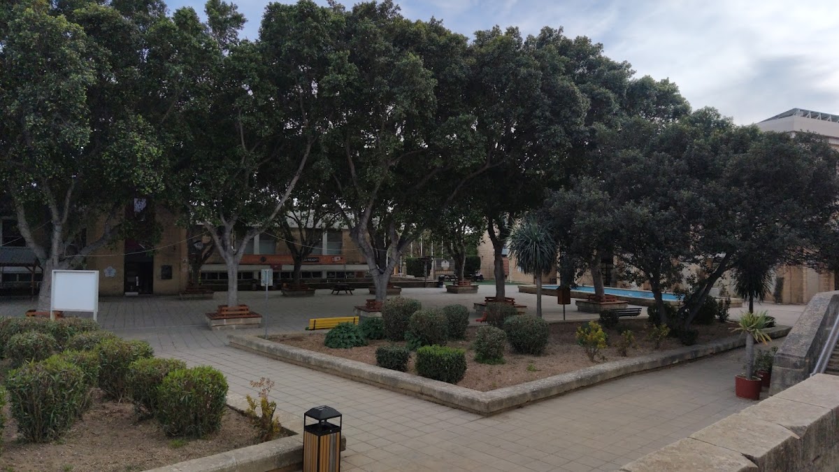 University of Malta photo 3