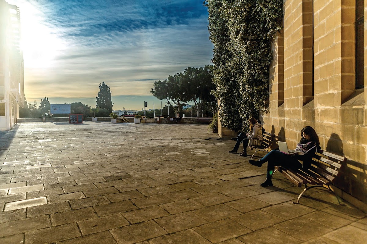 University of Malta photo 5
