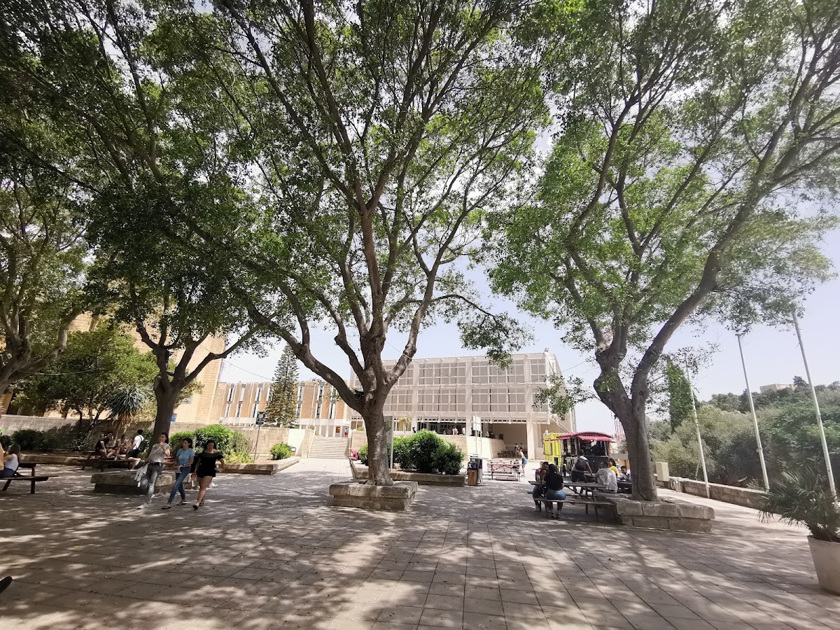 University of Malta photo 8