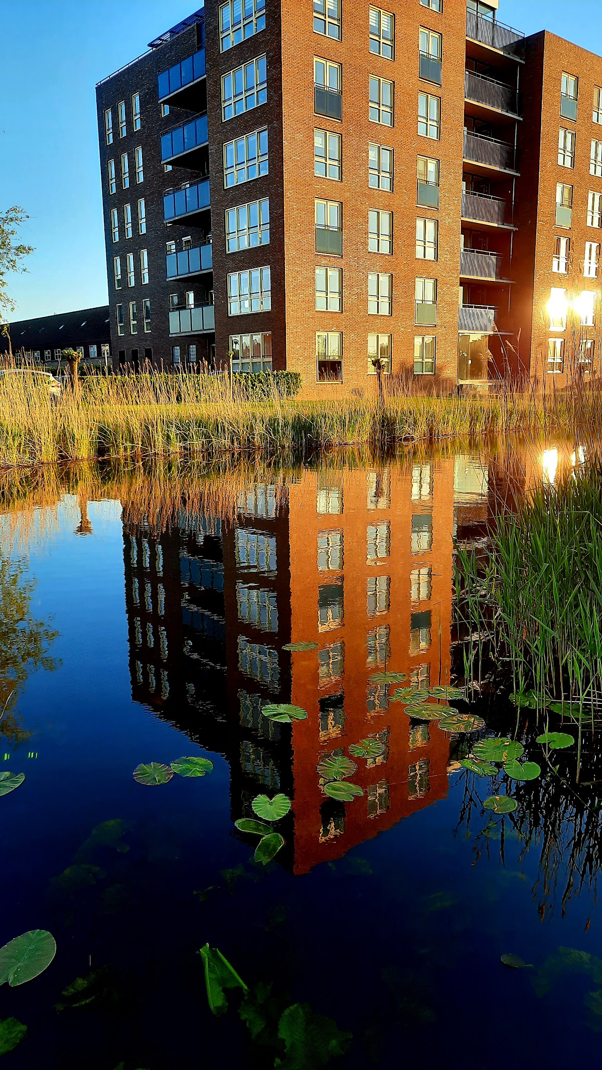 Van Hall Larenstein University of Applied Sciences photo 9