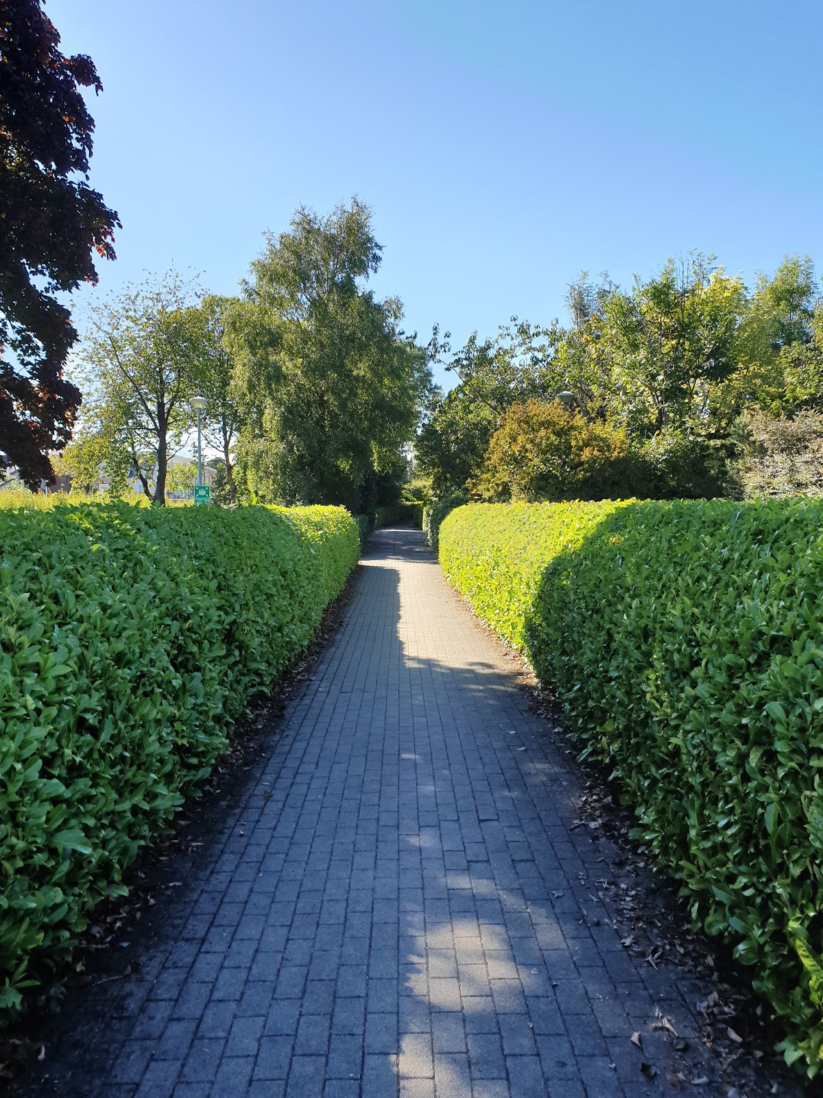 Athlone Institute of Technology photo 7