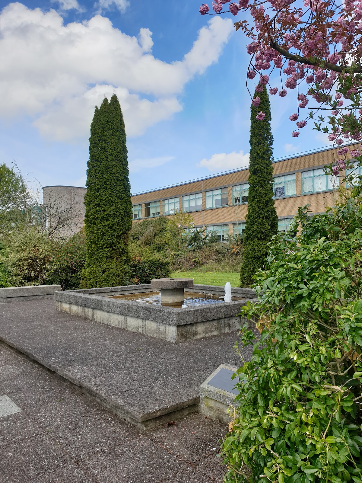 Athlone Institute of Technology photo 9