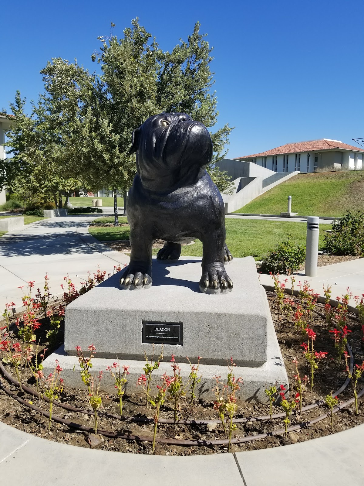 University of Redlands photo 8