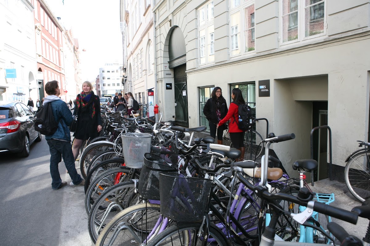 DIS - Study Abroad in Scandinavia photo 1