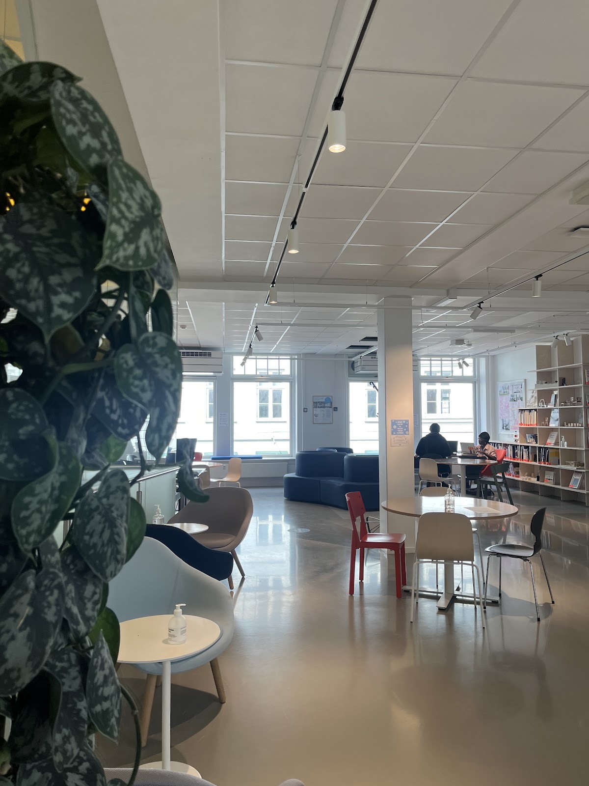 DIS - Study Abroad in Scandinavia photo 3