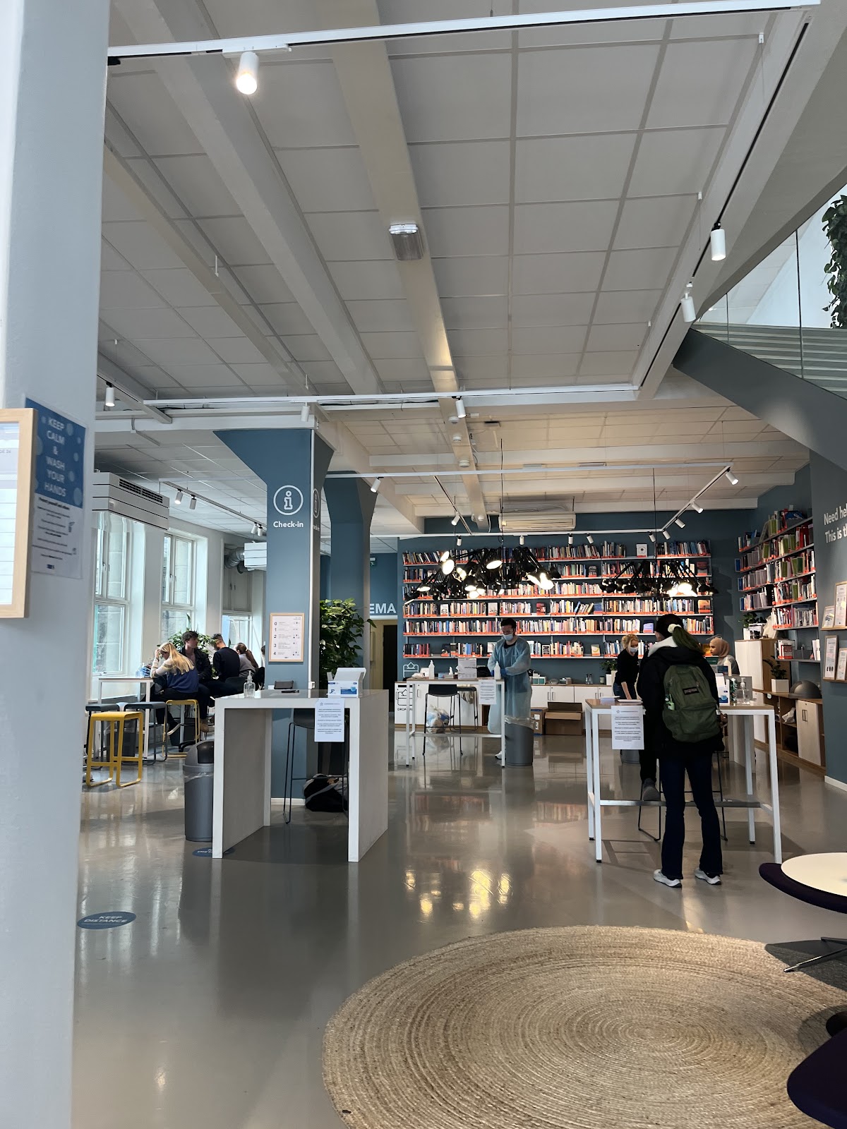 DIS - Study Abroad in Scandinavia photo 4