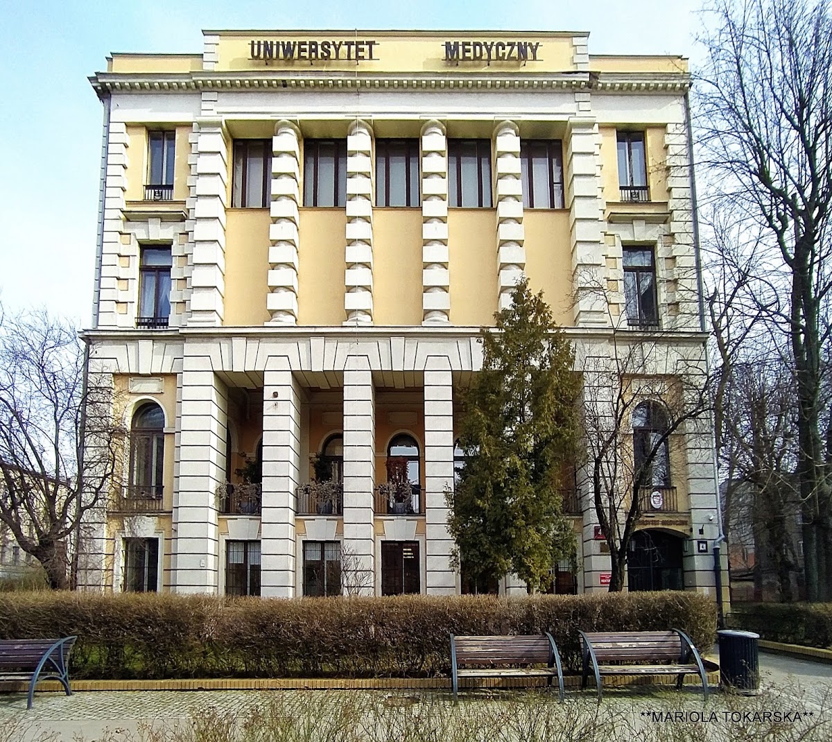 Medical University of Łódź photo 6
