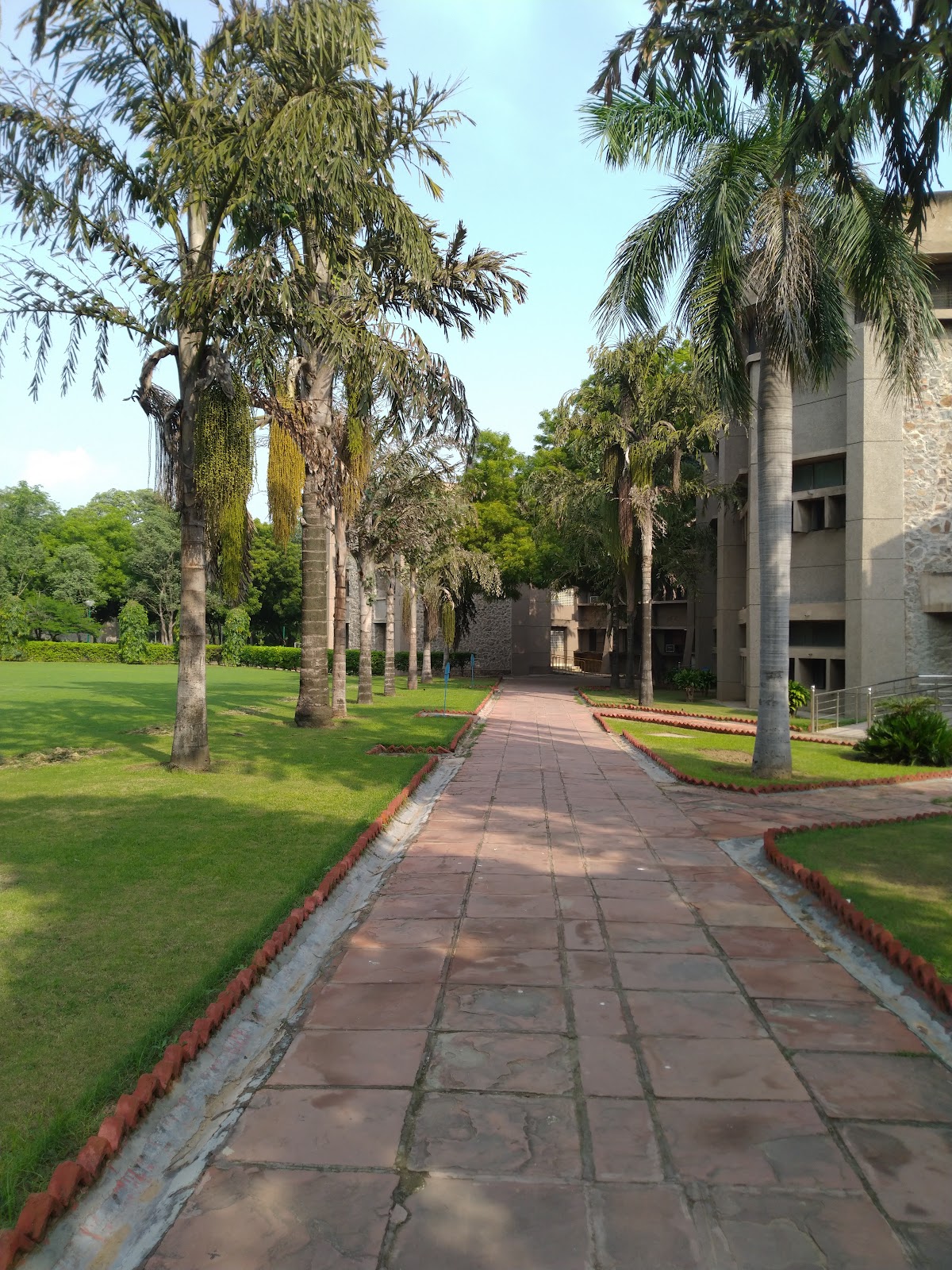 University of Delhi photo 9