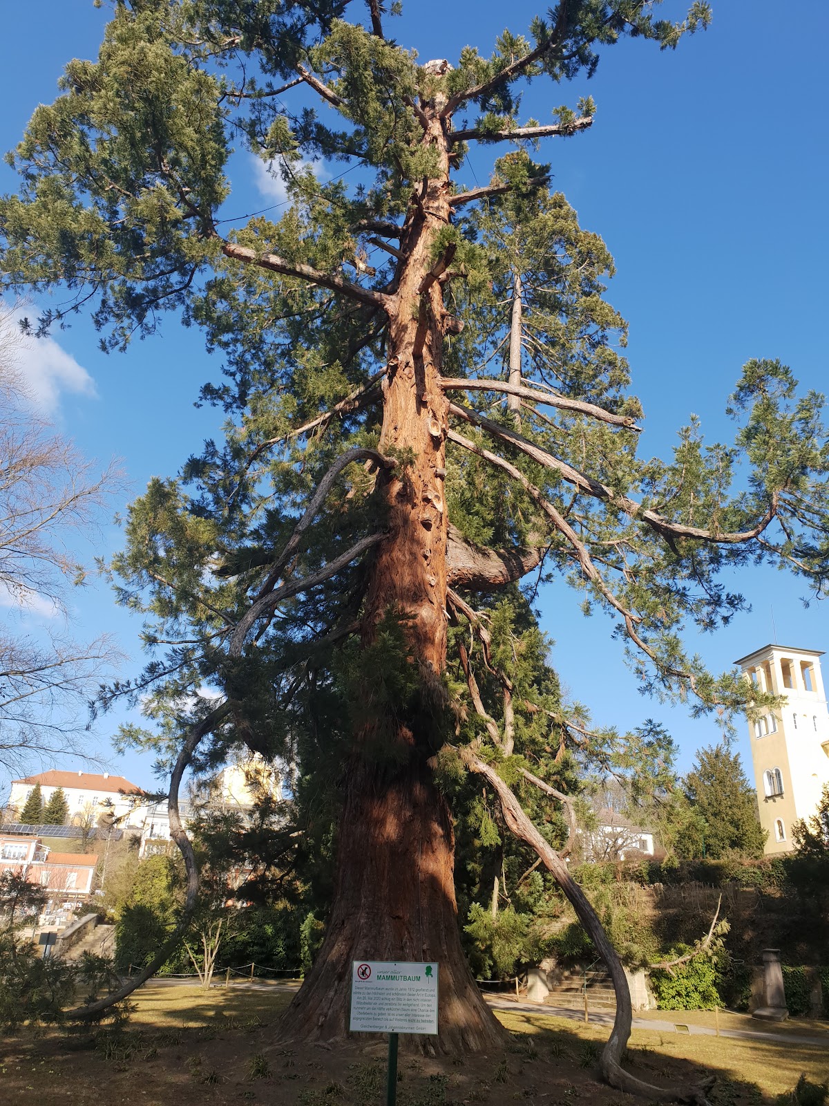 University of Applied Sciences Joanneum - Bad Gleichenberg photo 8