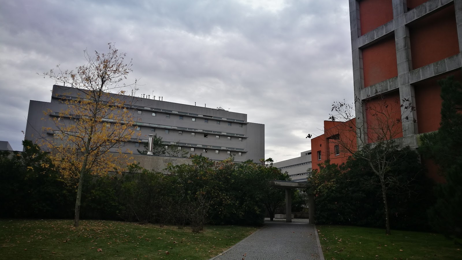 Faculty of Engineering of the University of Porto (FEUP)